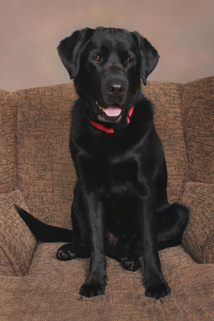 Patrick Nau Photography Image