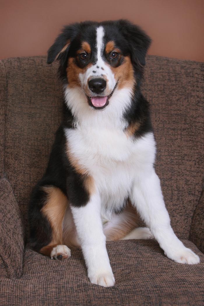 Patrick Nau Photography Image