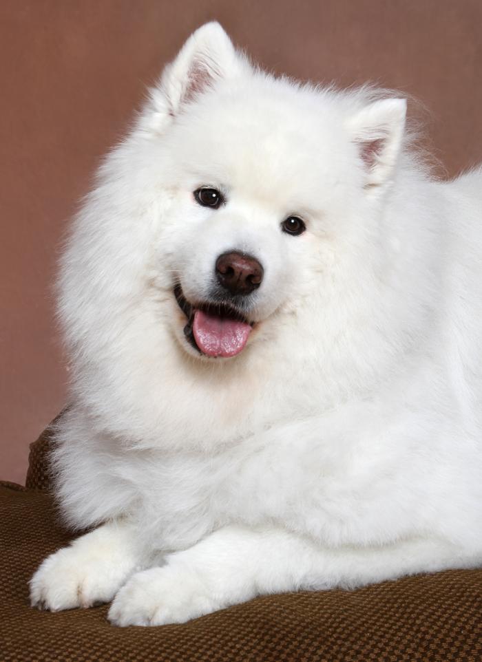 Patrick Nau Photography Image