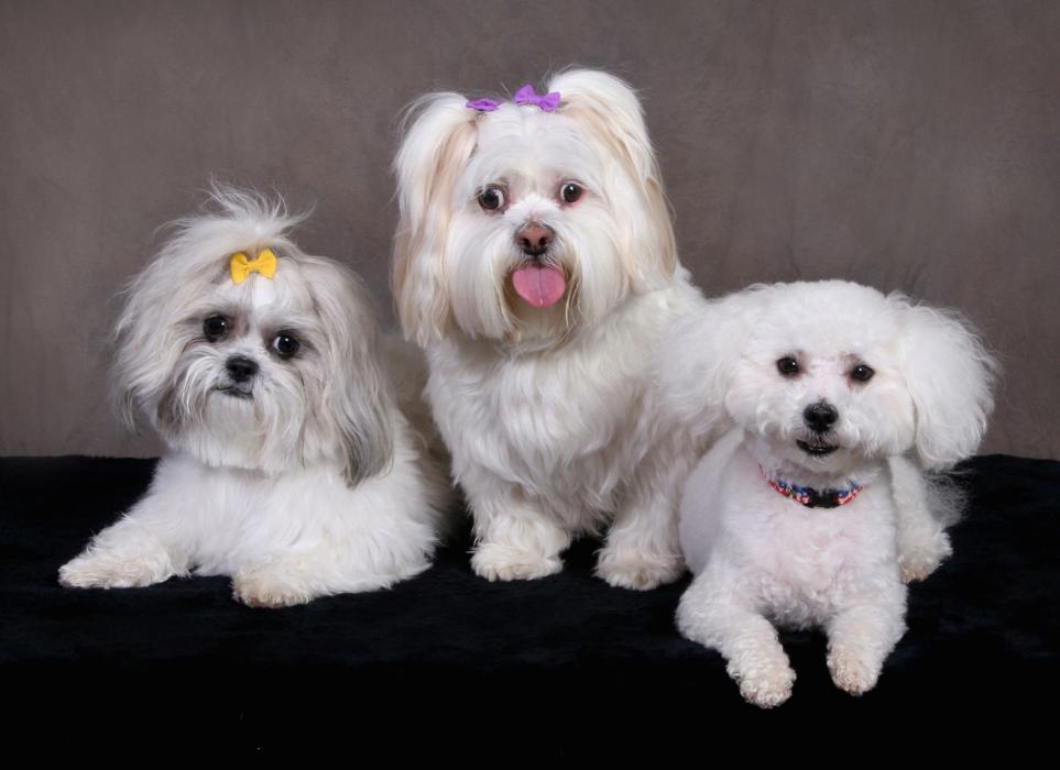 Patrick Nau Photography Image