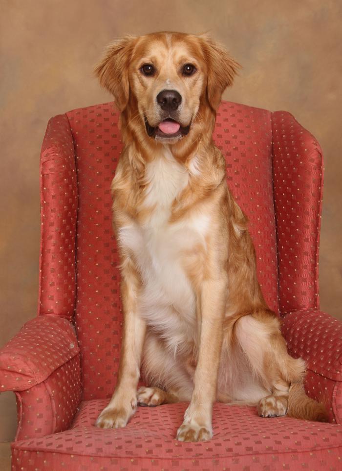 Patrick Nau Photography Image