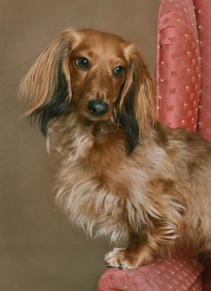 Patrick Nau Photography Image