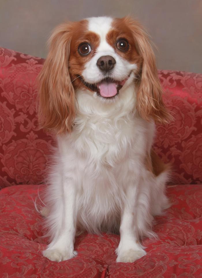 Patrick Nau Photography Image