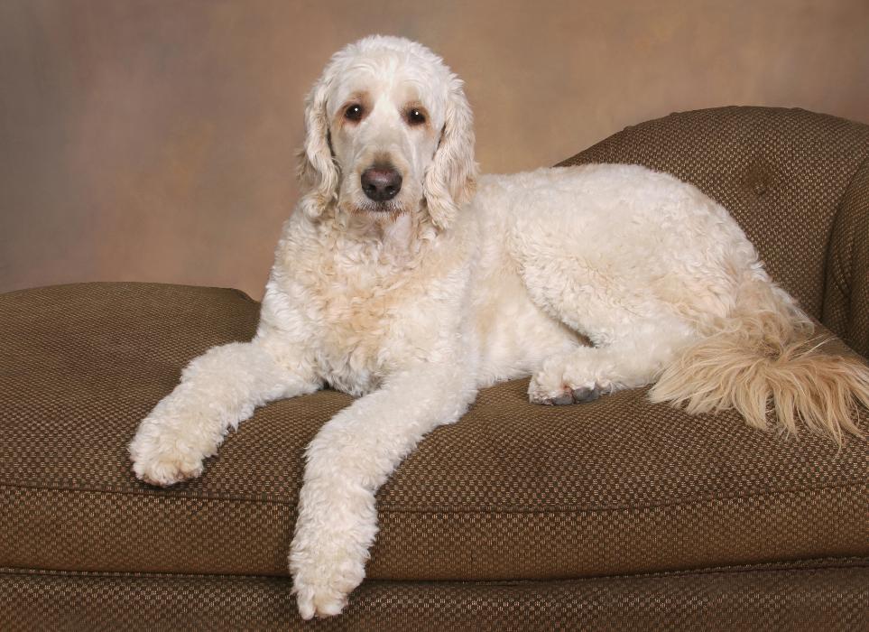 Patrick Nau Photography Image