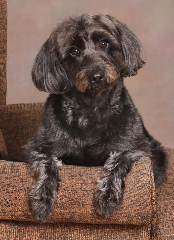 Patrick Nau Photography Image