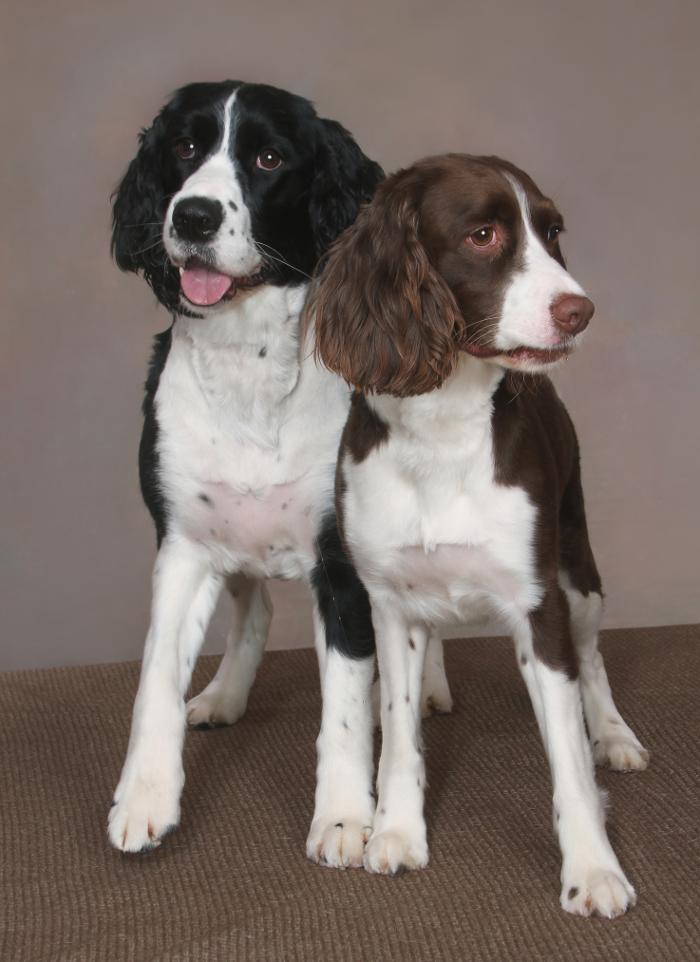 Patrick Nau Photography Image