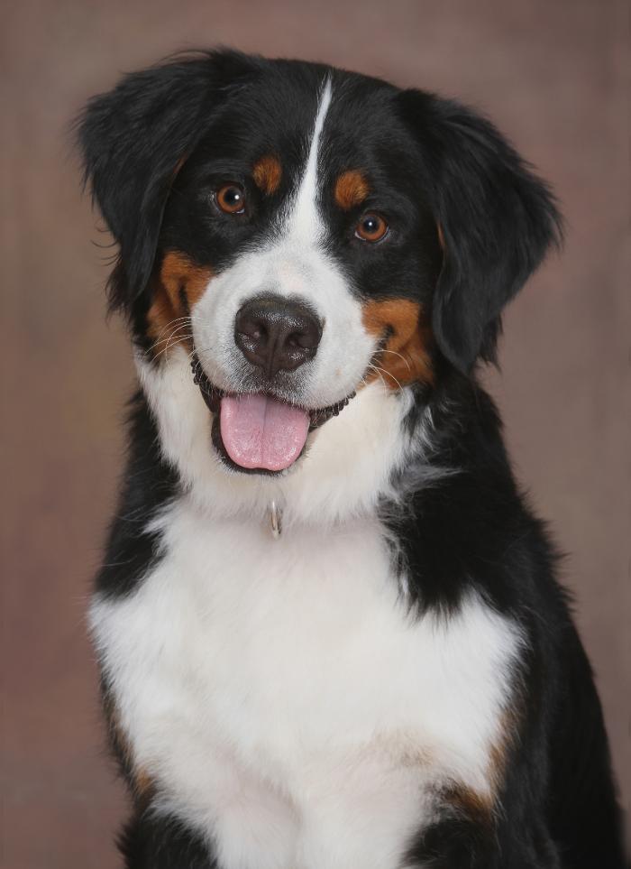 Patrick Nau Photography Image