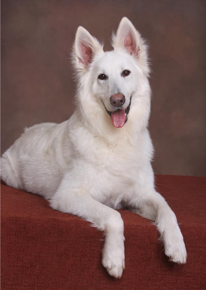 Patrick Nau Photography Image