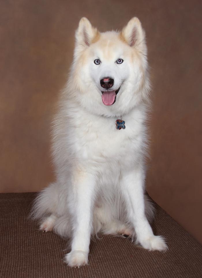 Patrick Nau Photography Image