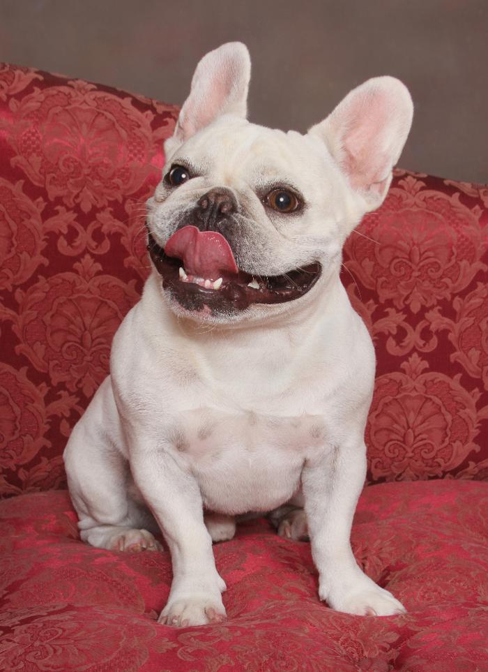 Patrick Nau Photography Image