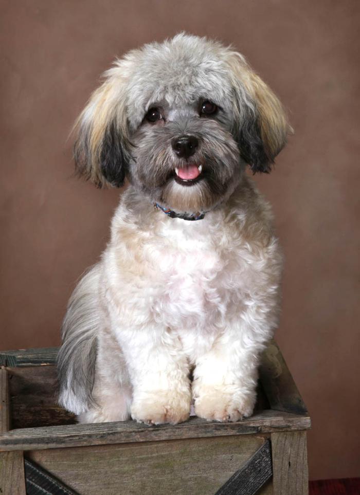 Patrick Nau Photography Image