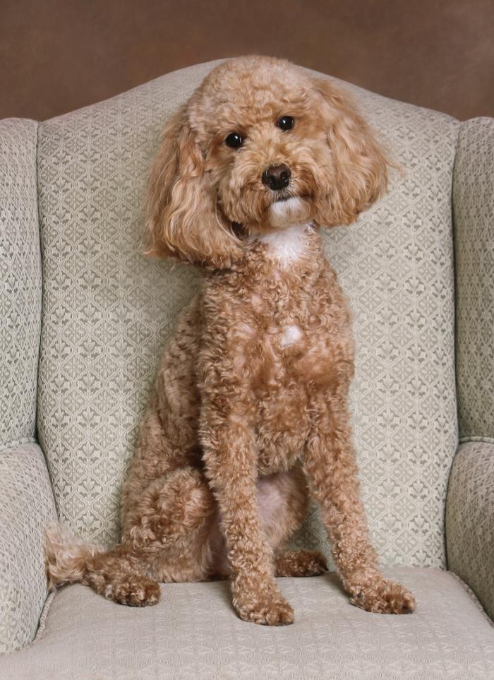 Patrick Nau Photography Image