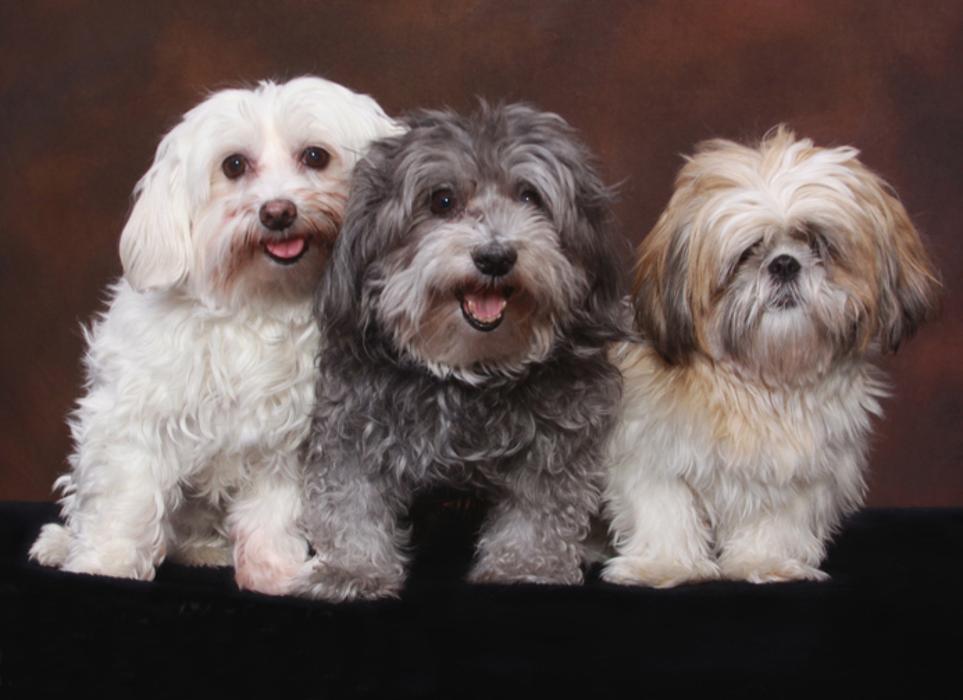 Patrick Nau Photography Image