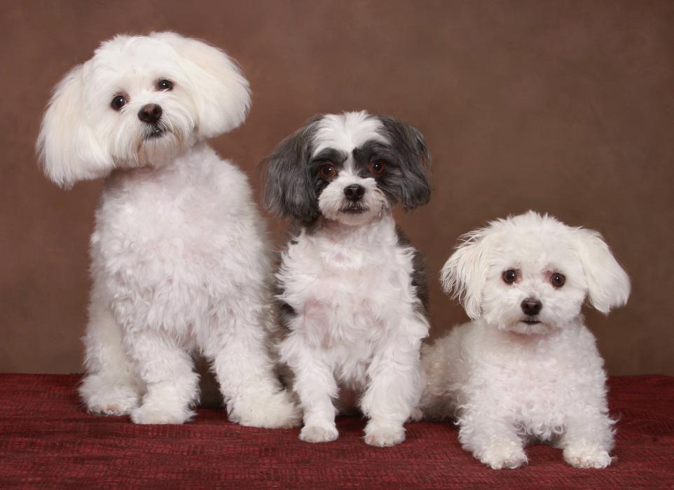 Patrick Nau Photography Image