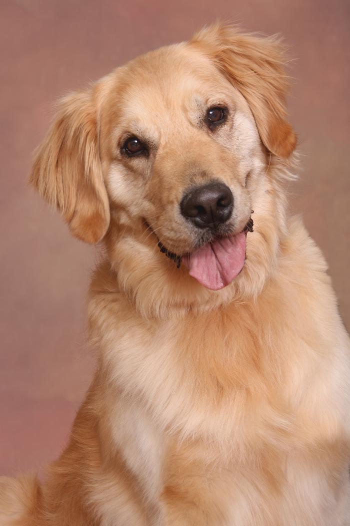 Patrick Nau Photography Image