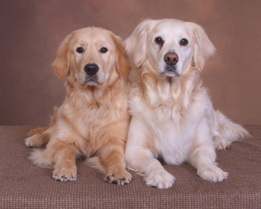 Patrick Nau Photography Image