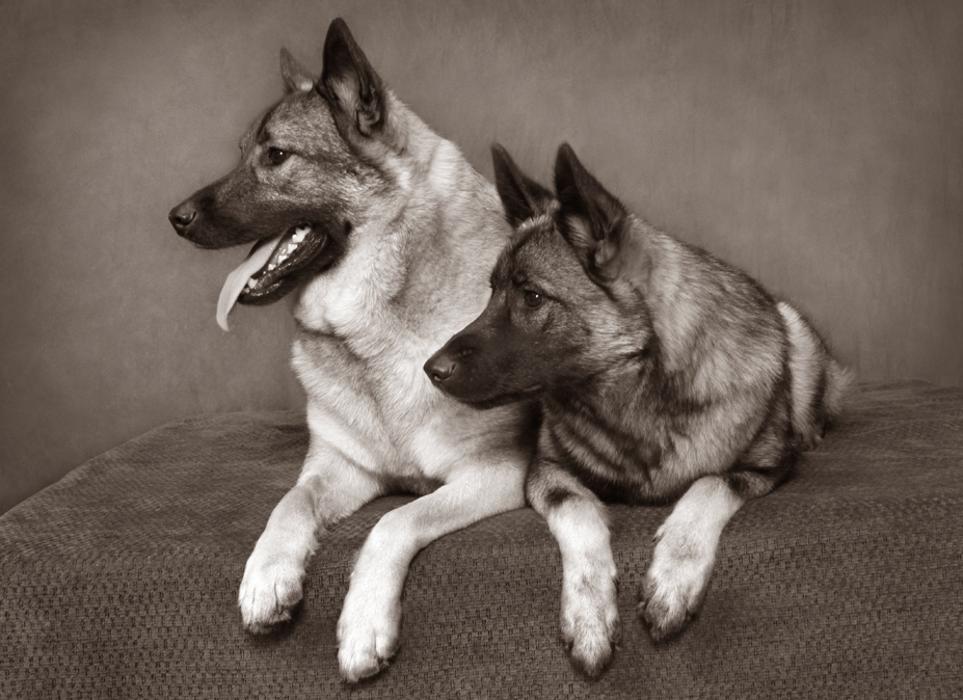 Patrick Nau Photography Image