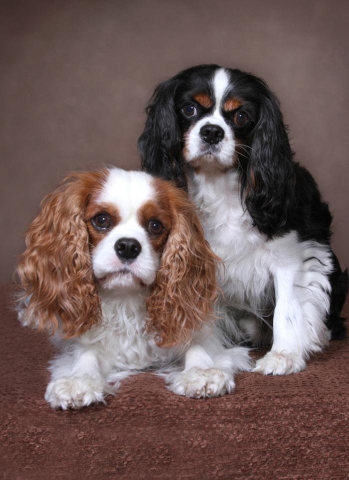 Patrick Nau Photography Image