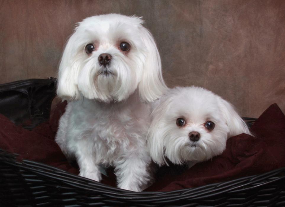 Patrick Nau Photography Image