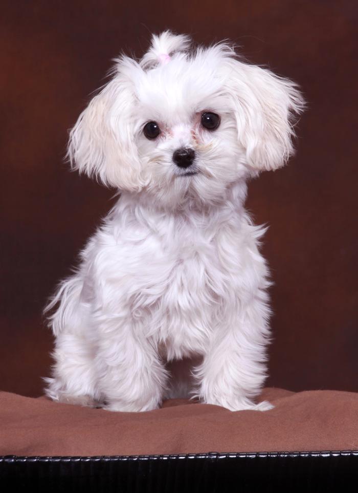 Patrick Nau Photography Image