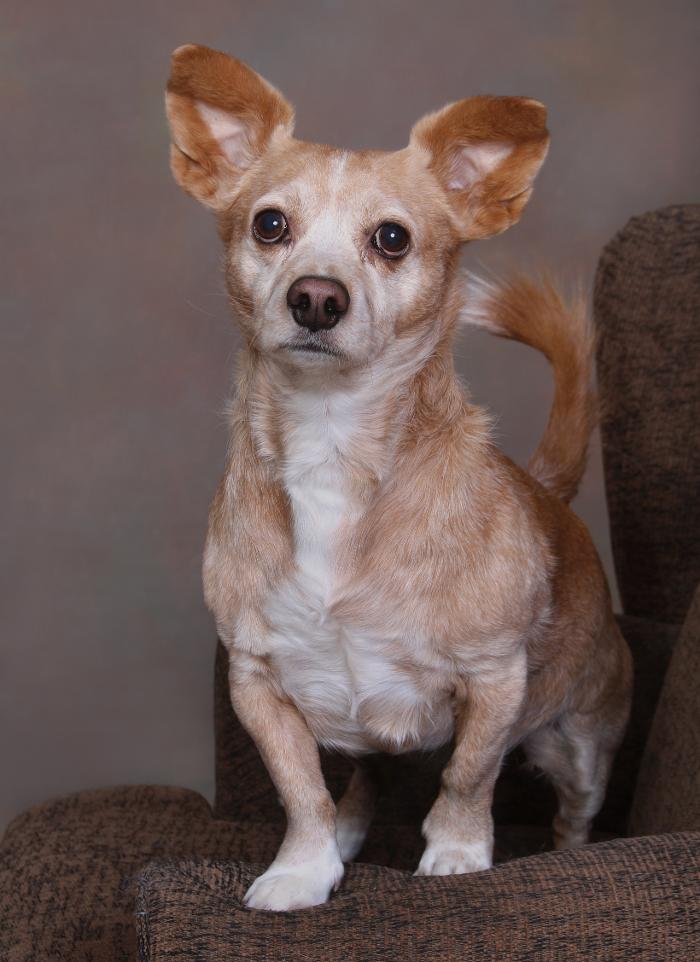 Patrick Nau Photography Image