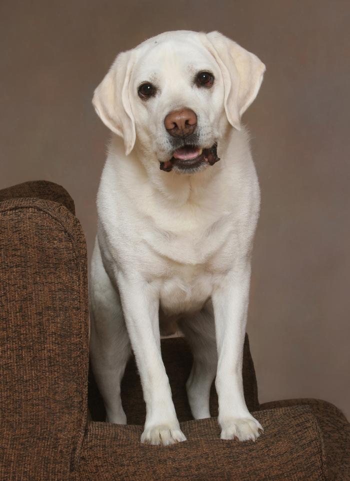 Patrick Nau Photography Image