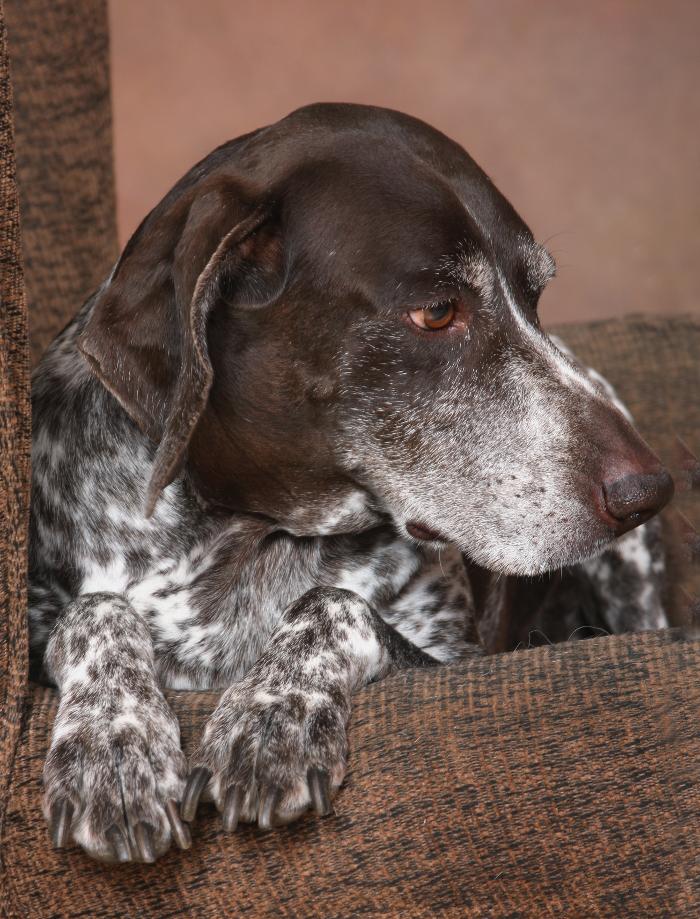 Patrick Nau Photography Image