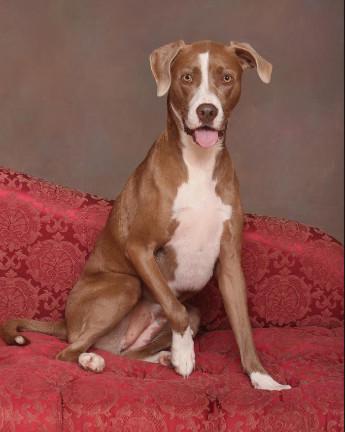 Patrick Nau Photography Image