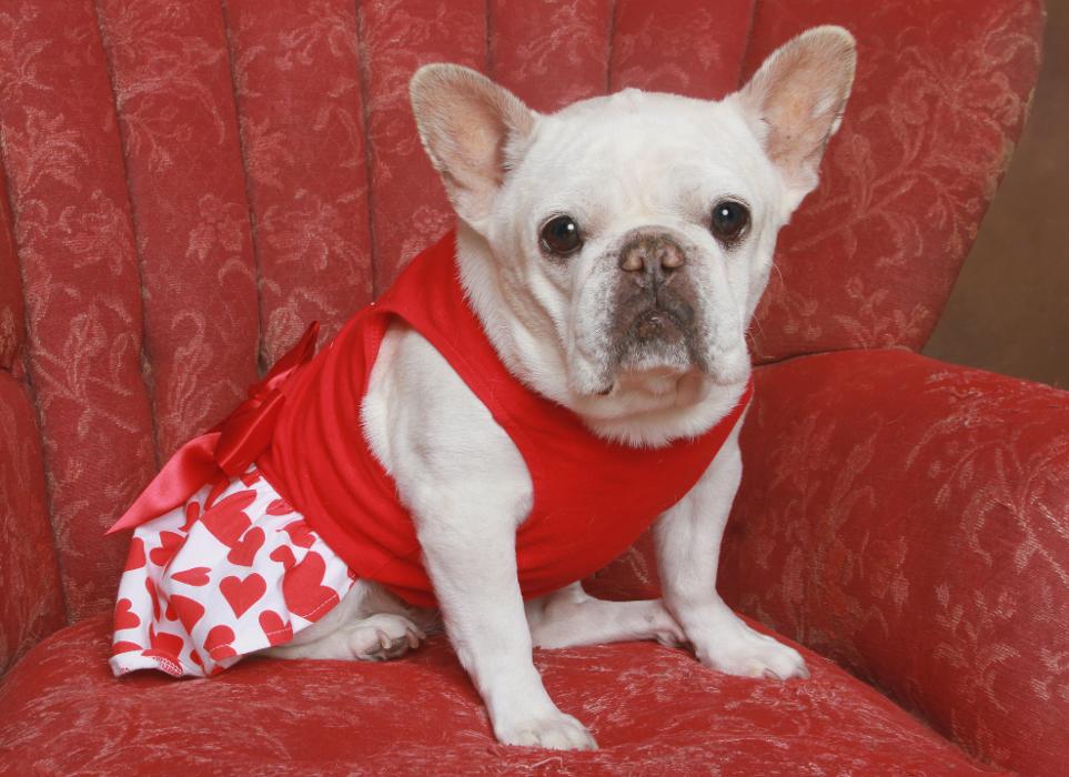 Patrick Nau Photography Image