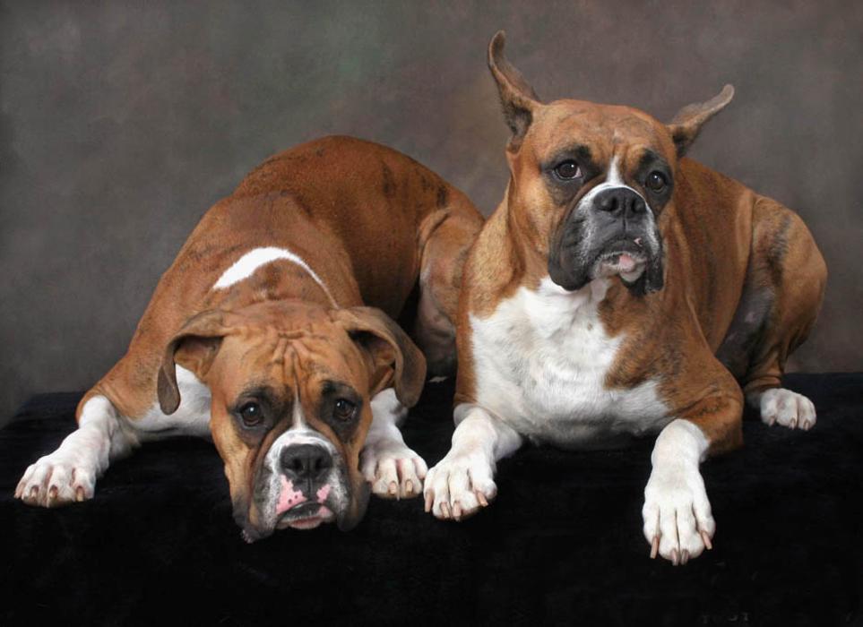 Patrick Nau Photography Image