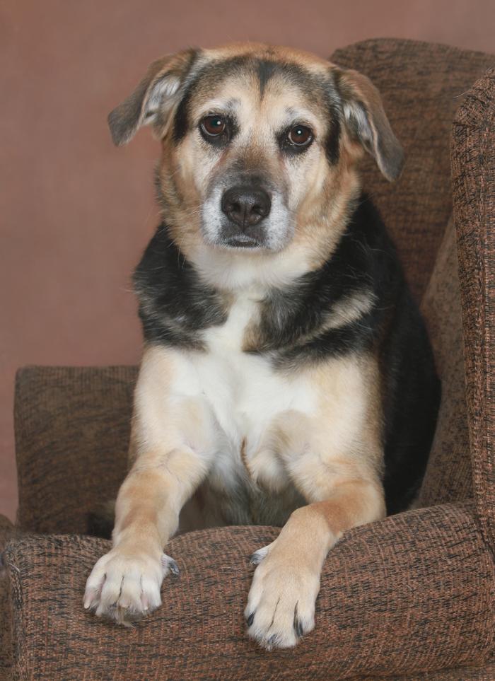 Patrick Nau Photography Image