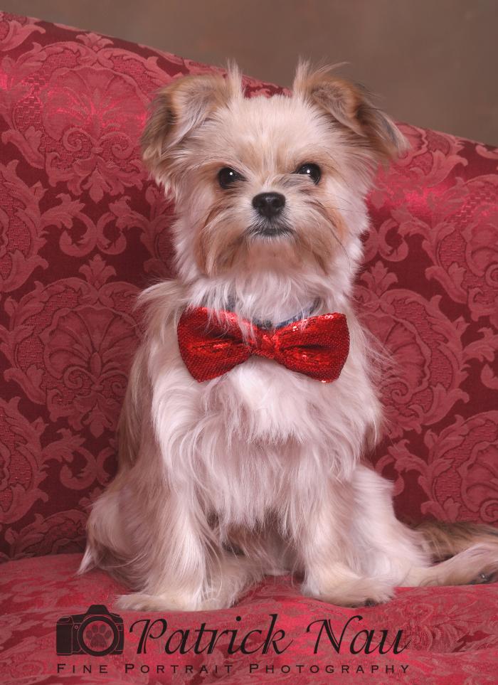 Patrick Nau Photography Image