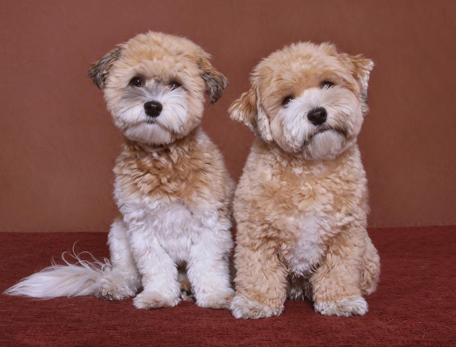 Patrick Nau Photography Image