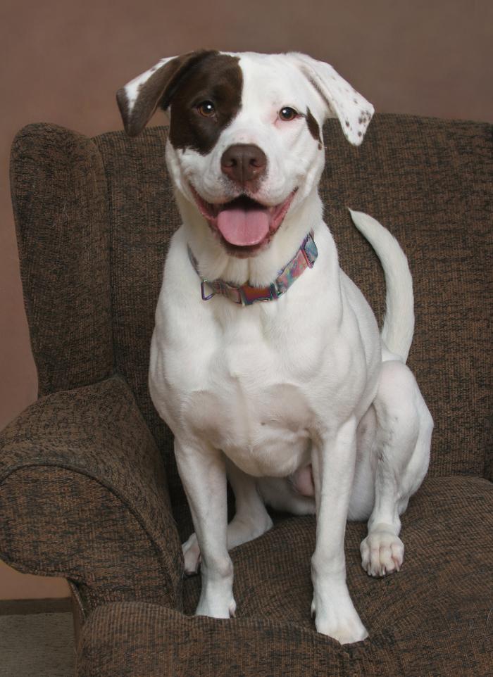 Patrick Nau Photography Image