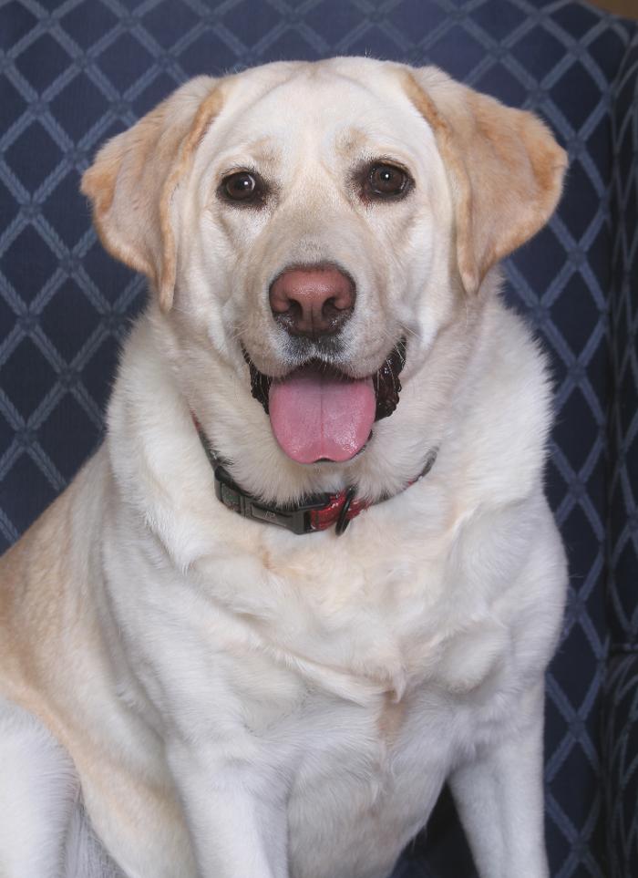 Patrick Nau Photography Image