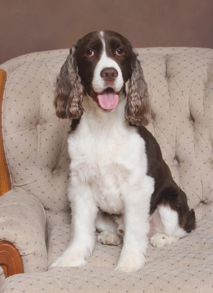 Patrick Nau Photography Image