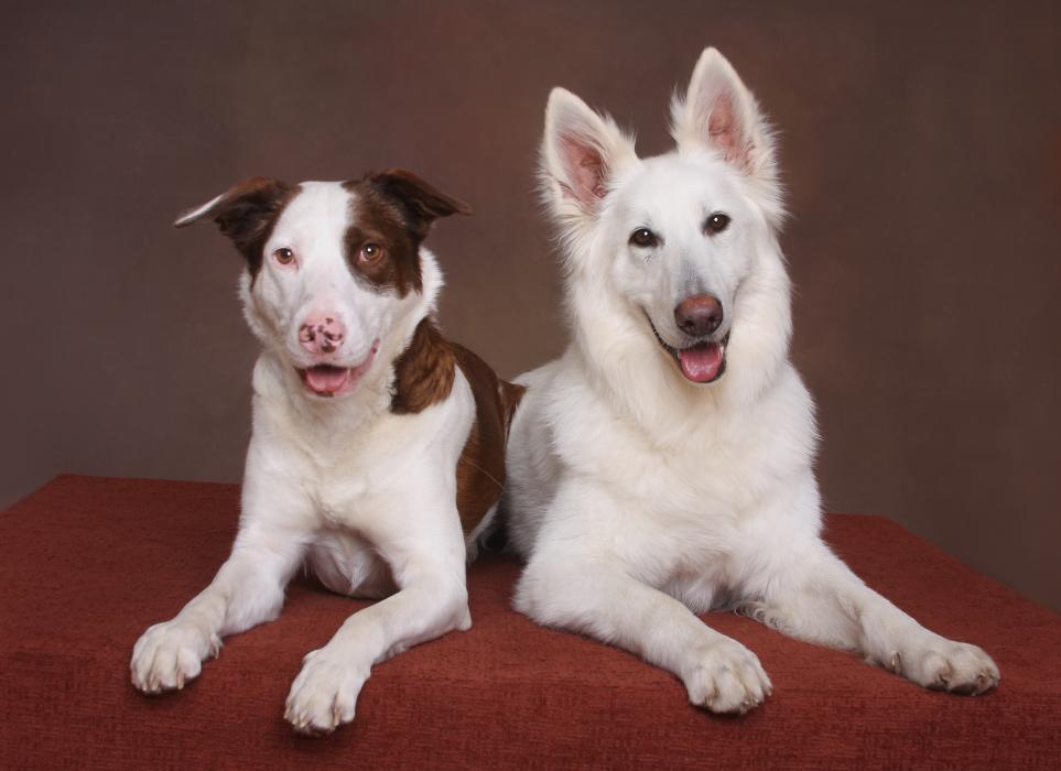 Patrick Nau Photography Image