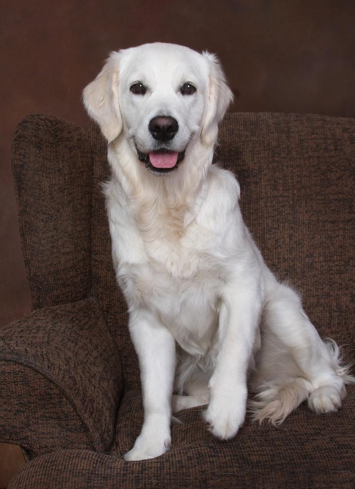 Patrick Nau Photography Image