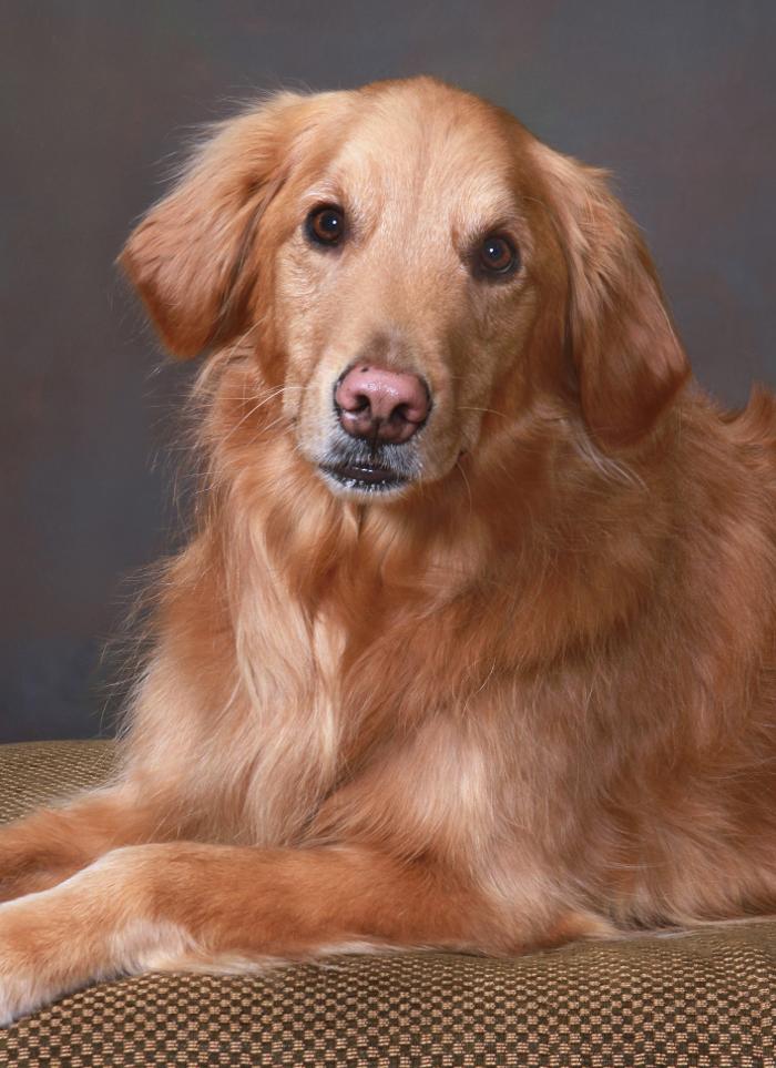 Patrick Nau Photography Image