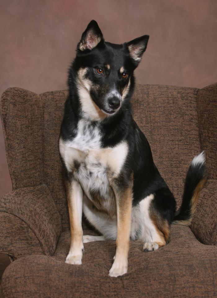 Patrick Nau Photography Image