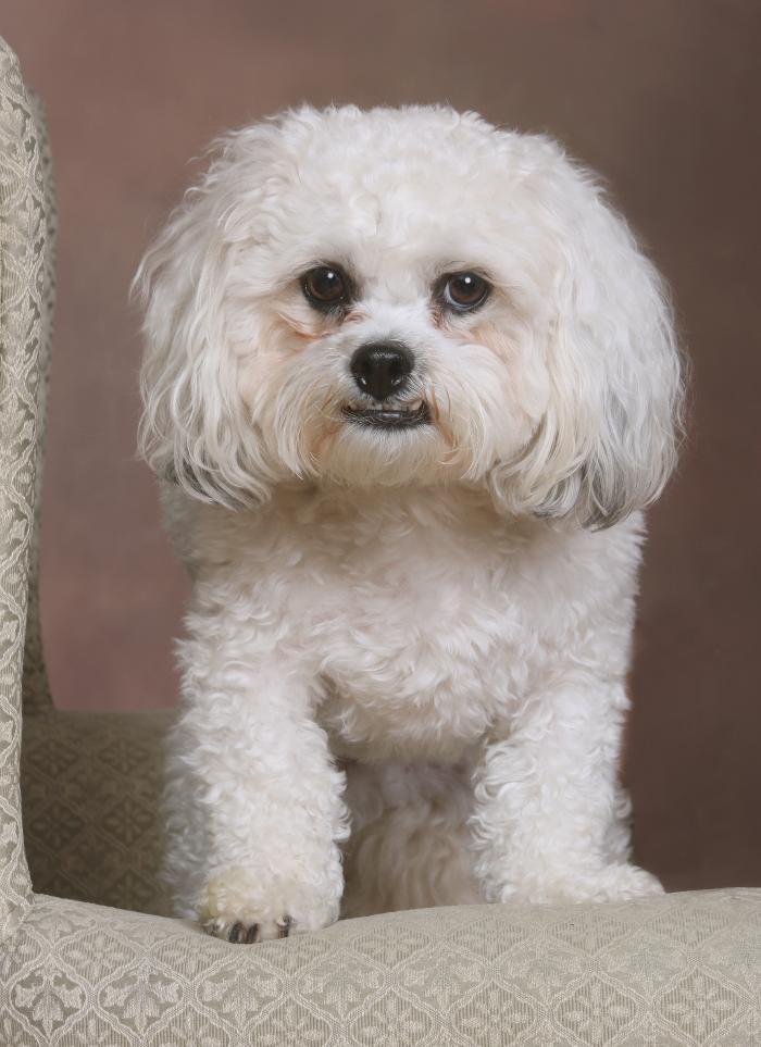 Patrick Nau Photography Image