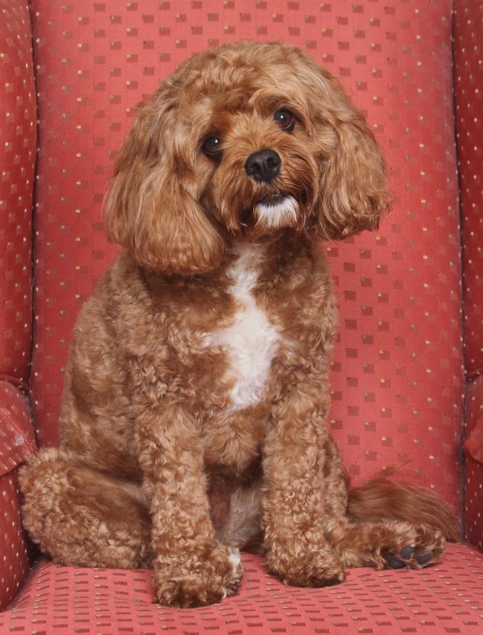 Patrick Nau Photography Image