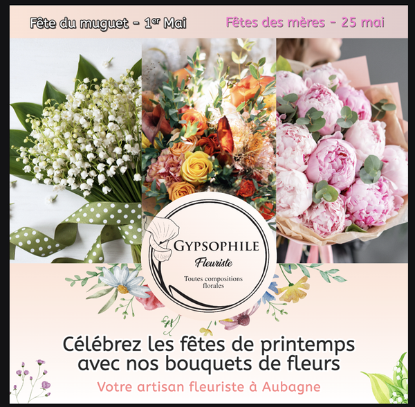 Gypsophile dessinateur (divers)