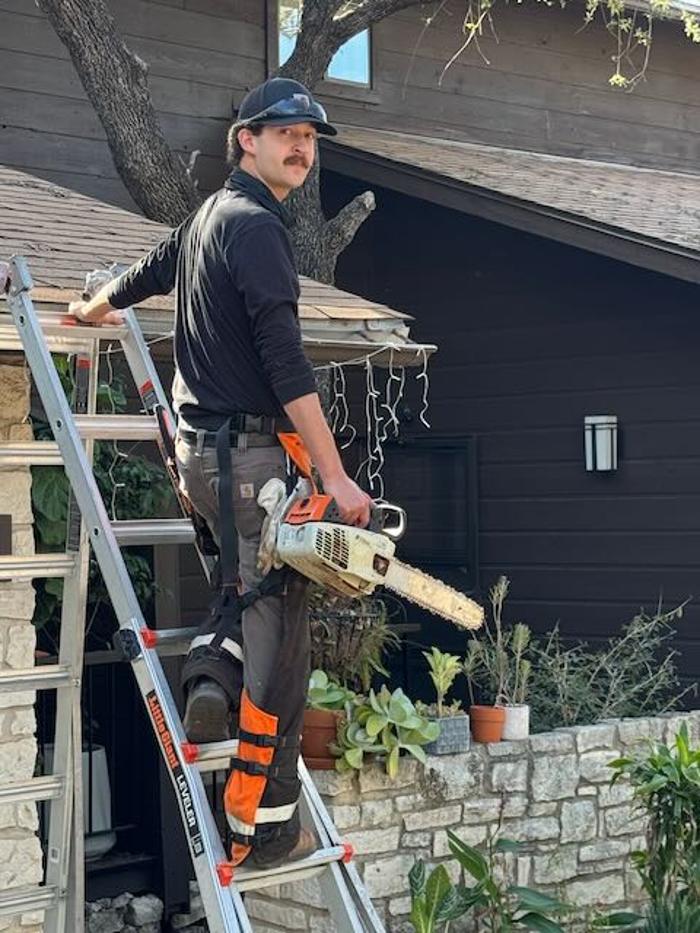 Dynamo Dusty's Tree Service Image