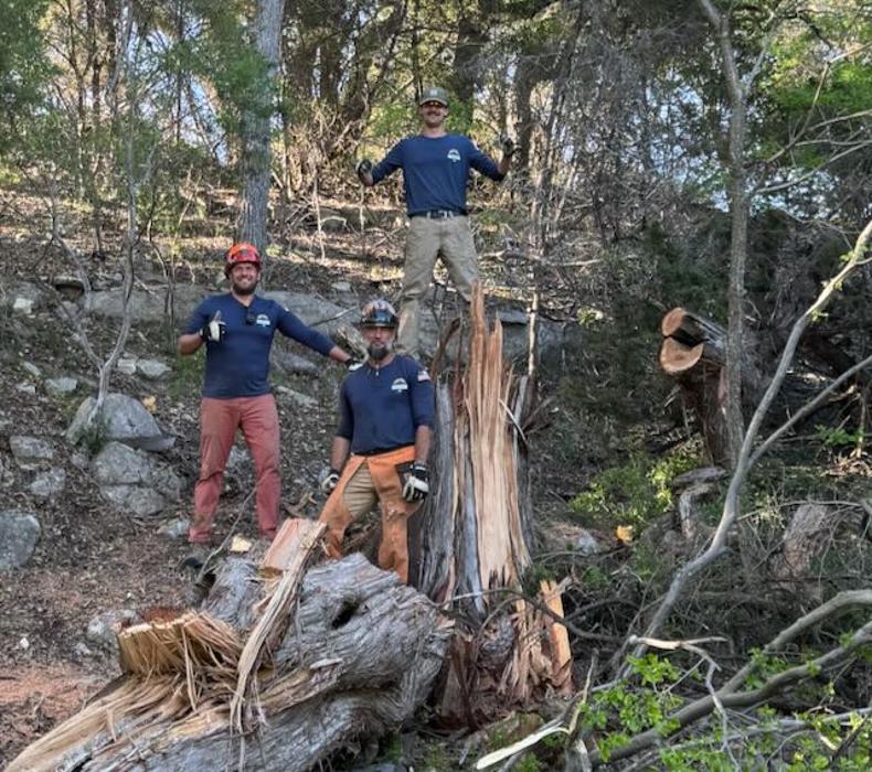 Dynamo Dusty's Tree Service Image