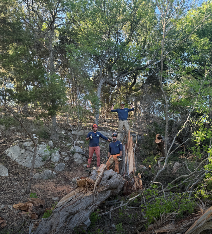 Dynamo Dusty's Tree Service Image