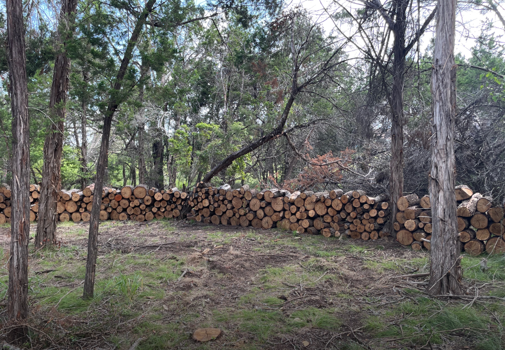 Dynamo Dusty's Tree Service Image