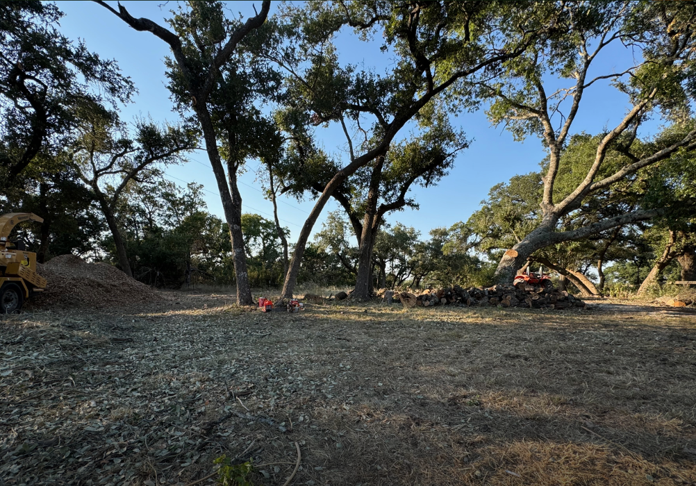 Dynamo Dusty's Tree Service Image