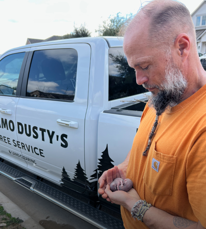 Dynamo Dusty's Tree Service Image