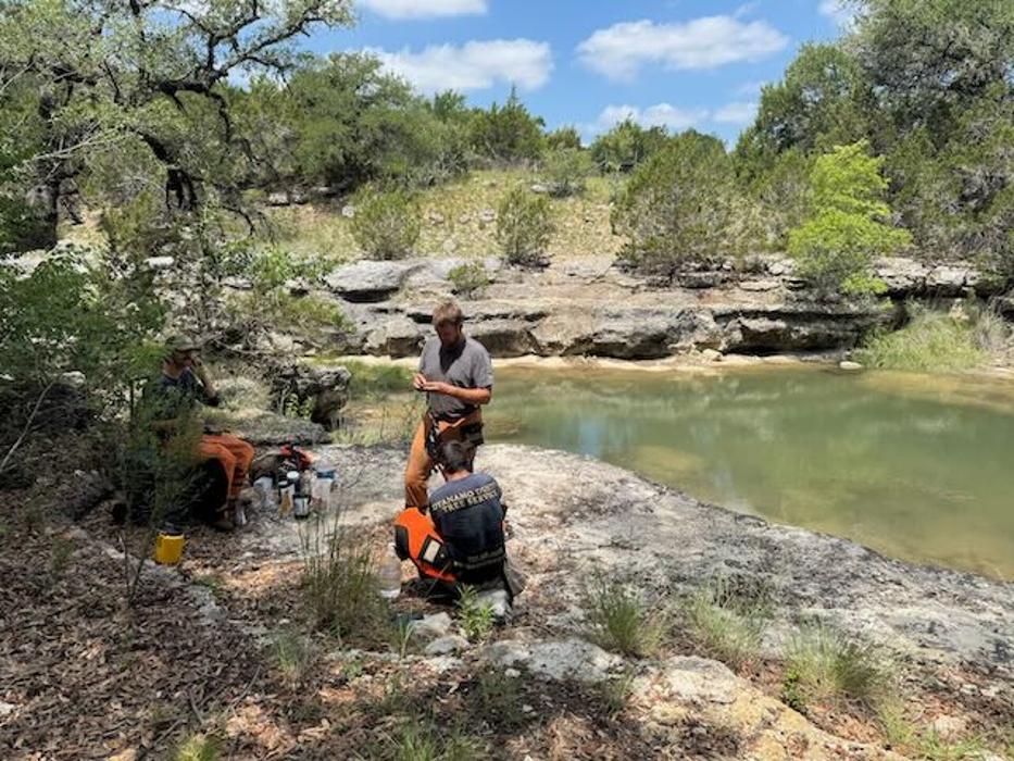 Dynamo Dusty's Tree Service Image